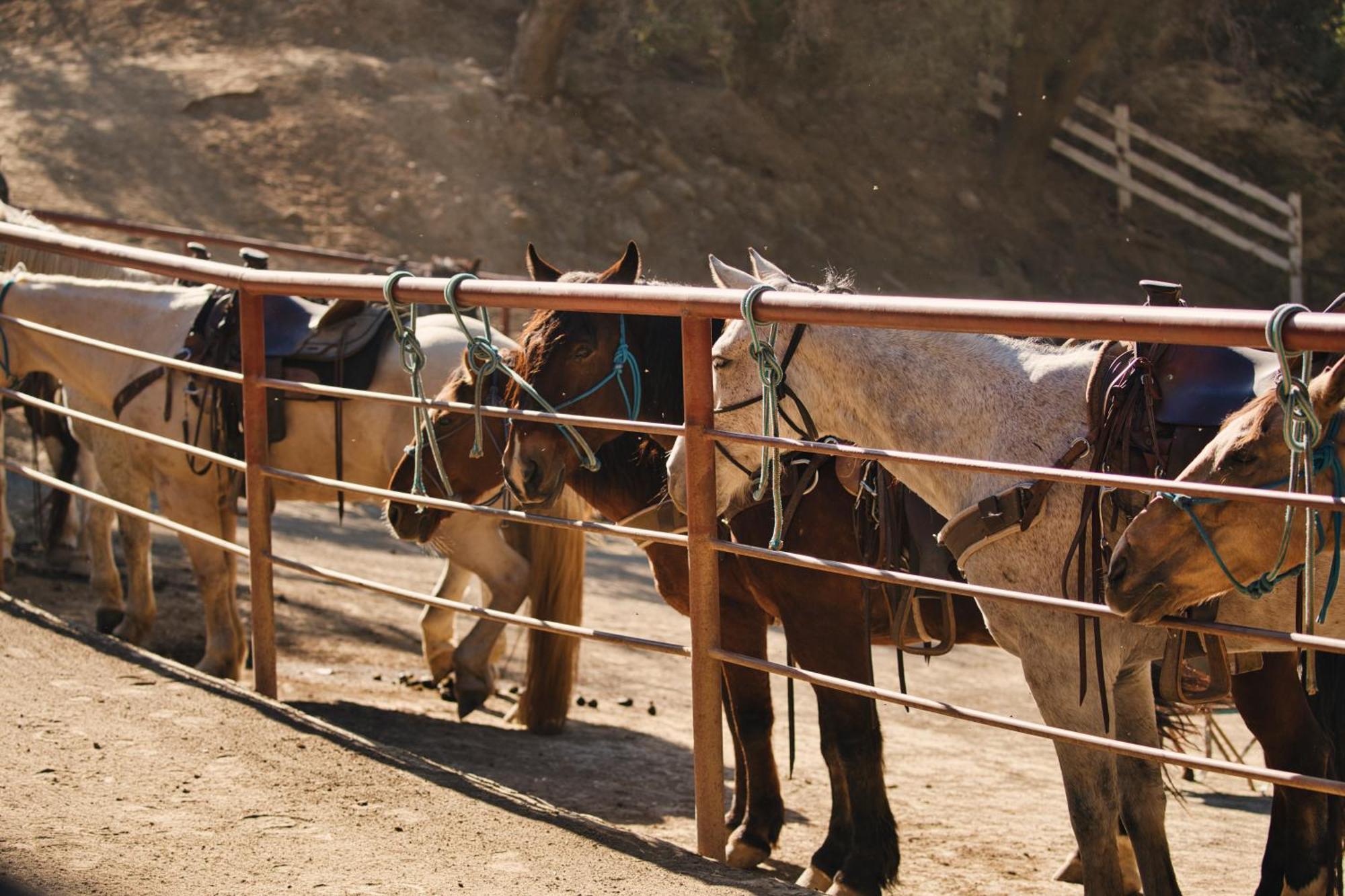 Circle Bar B Guest Ranch Hotel Capitan Bagian luar foto