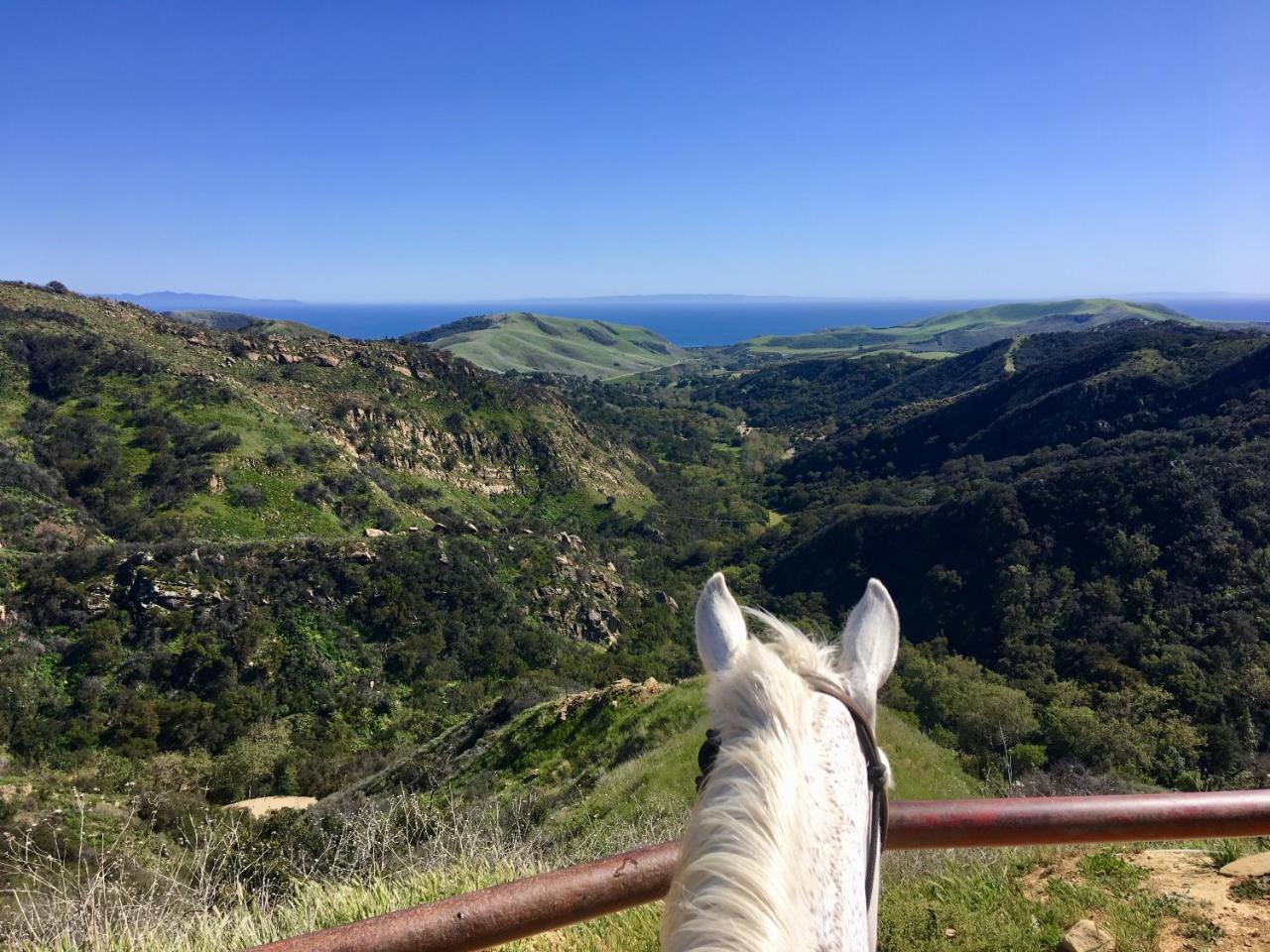 Circle Bar B Guest Ranch Hotel Capitan Bagian luar foto